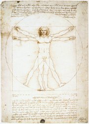 Vitruvian Man, by Leonardo da Vinci.