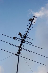 Television antenna on a rooftop